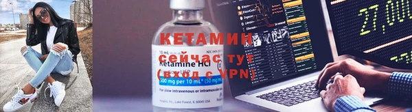гашик Аркадак