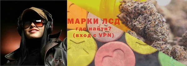 гашик Аркадак