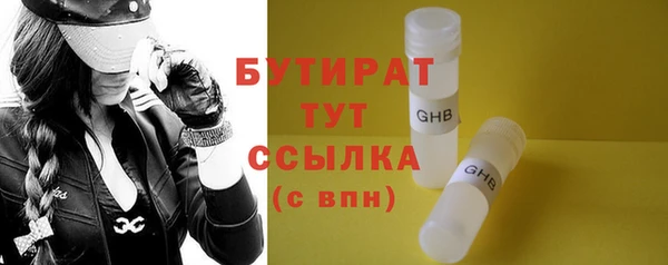 индика Арсеньев