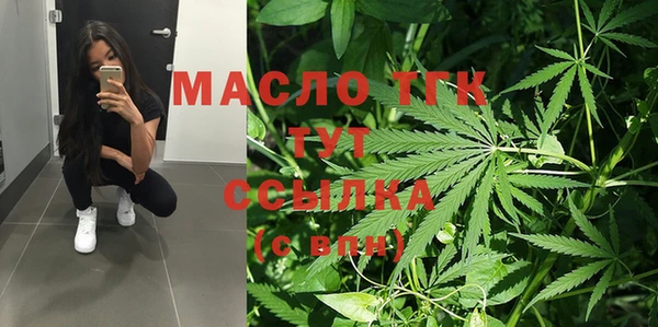 индика Арсеньев