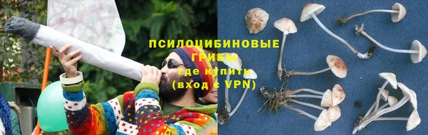 индика Арсеньев