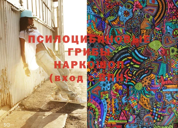 индика Арсеньев