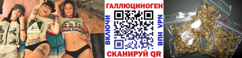 hydra   Опочка  Псилоцибиновые грибы GOLDEN TEACHER 